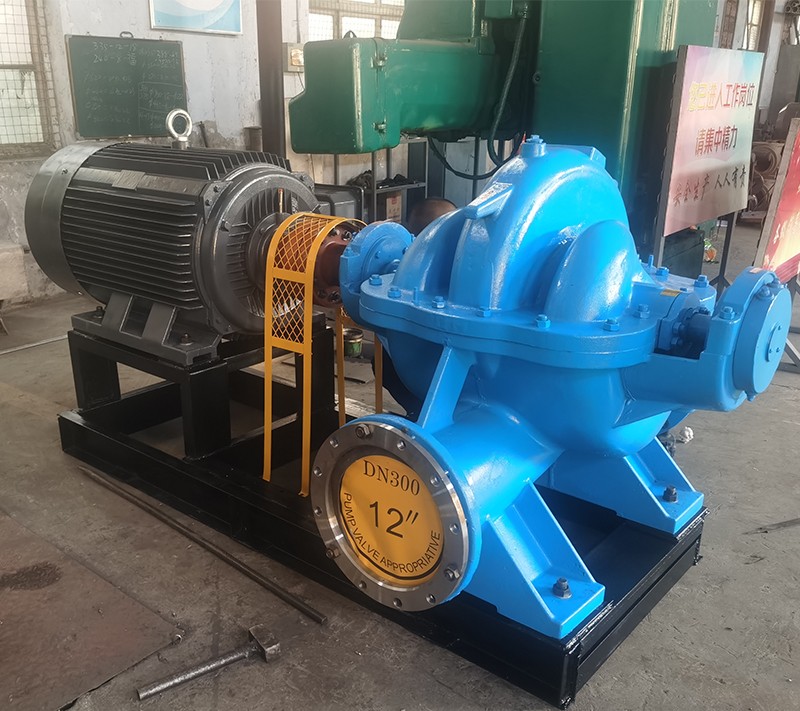 雙吸泵 雙(shuāng)吸泵